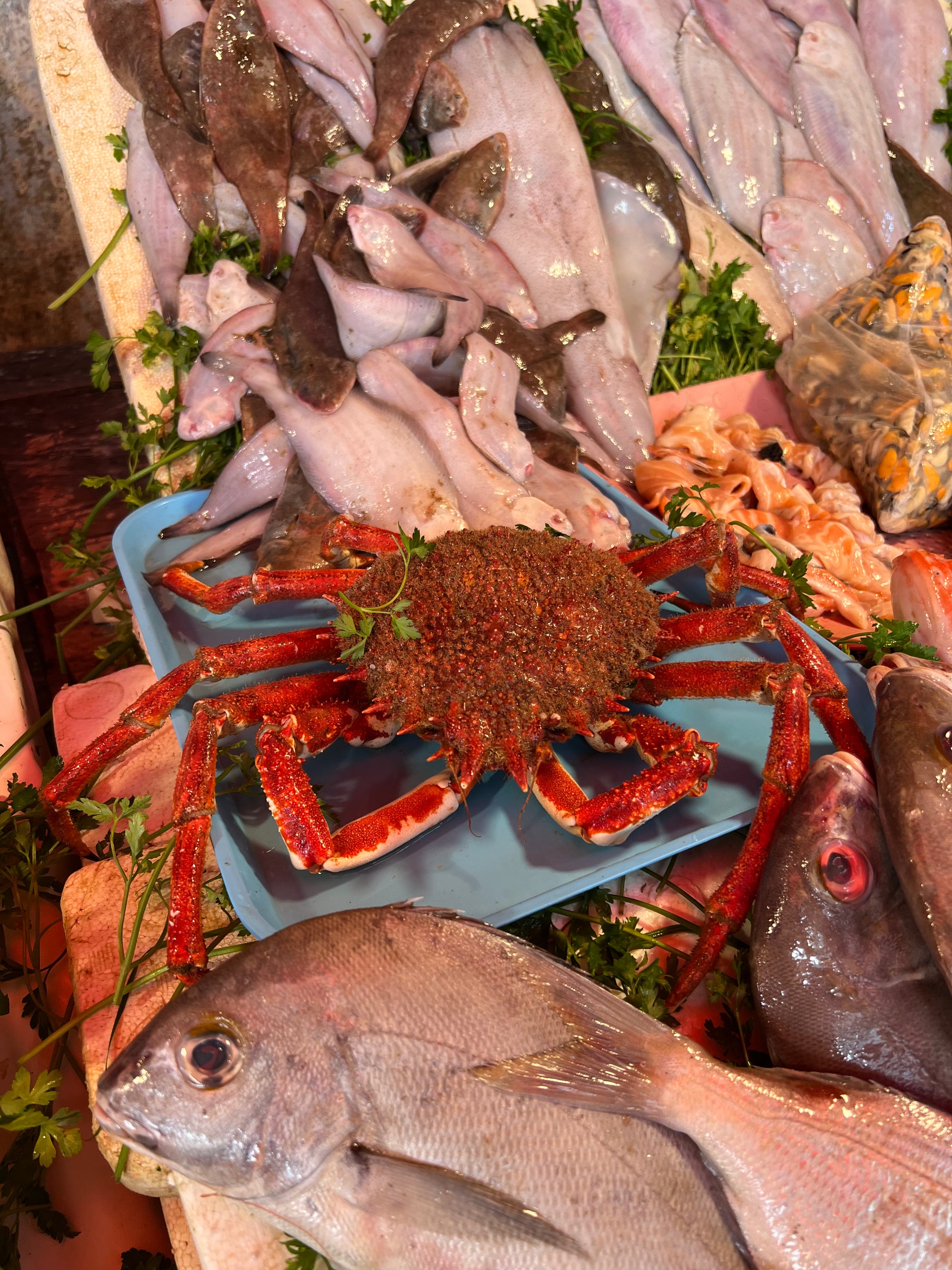 HolyCrab ✦ Embroidery | Kids